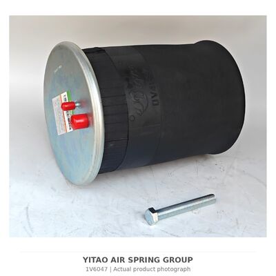1V6047 MAN کاميون هواي بهار 8143600.6035 81436006066 4884N1P06