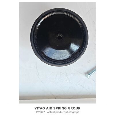 1V6047 MAN کاميون هواي بهار 8143600.6035 81436006066 4884N1P06
